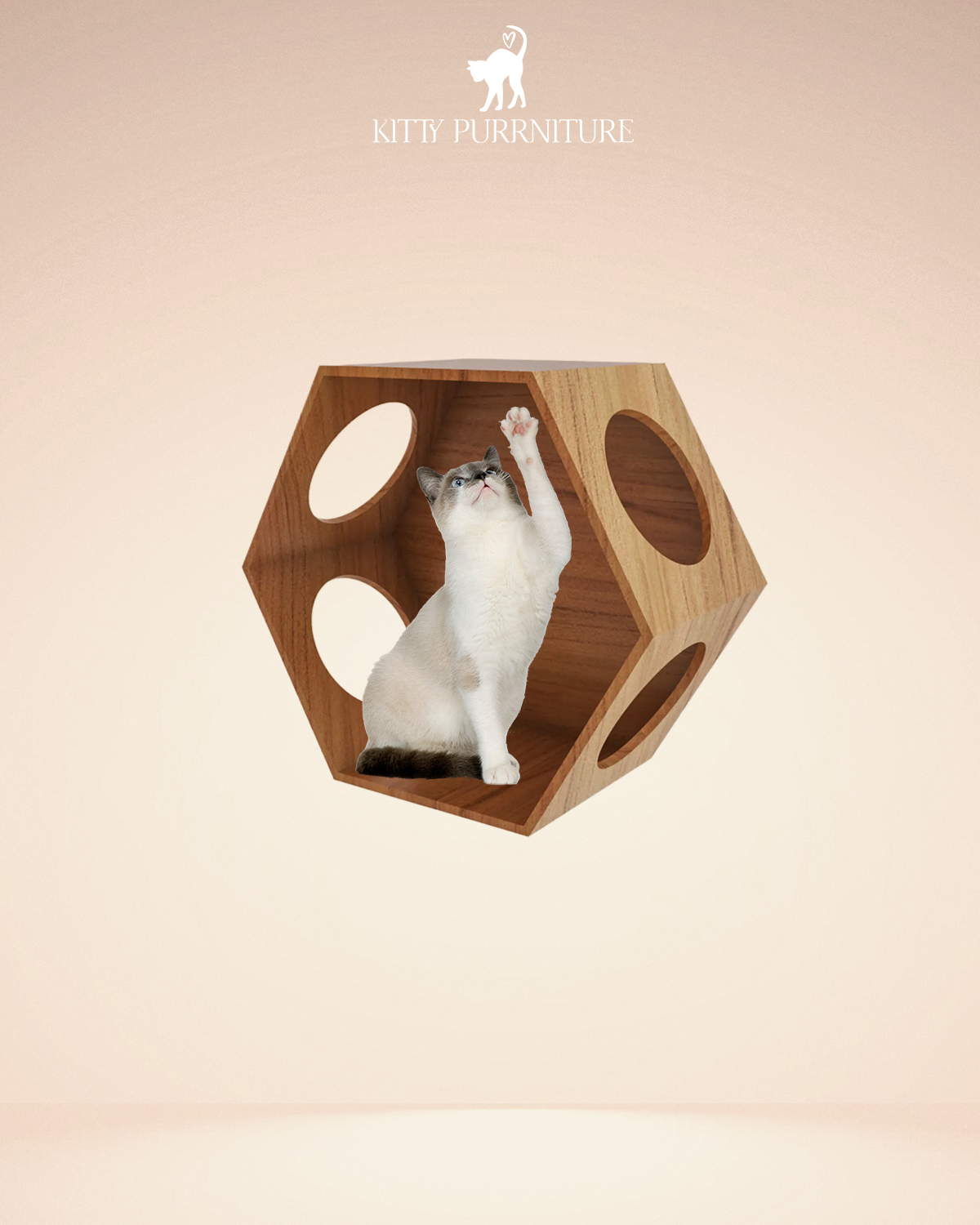 Kitty Playhouse