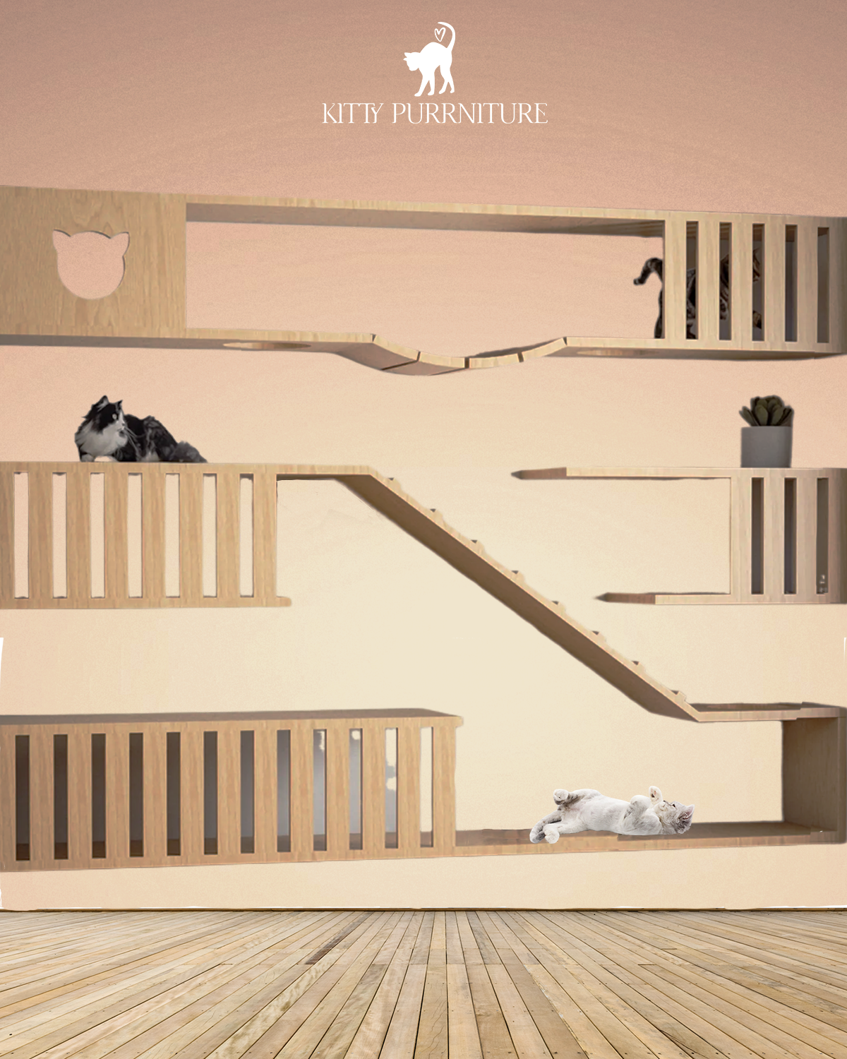 The Kitty Playground