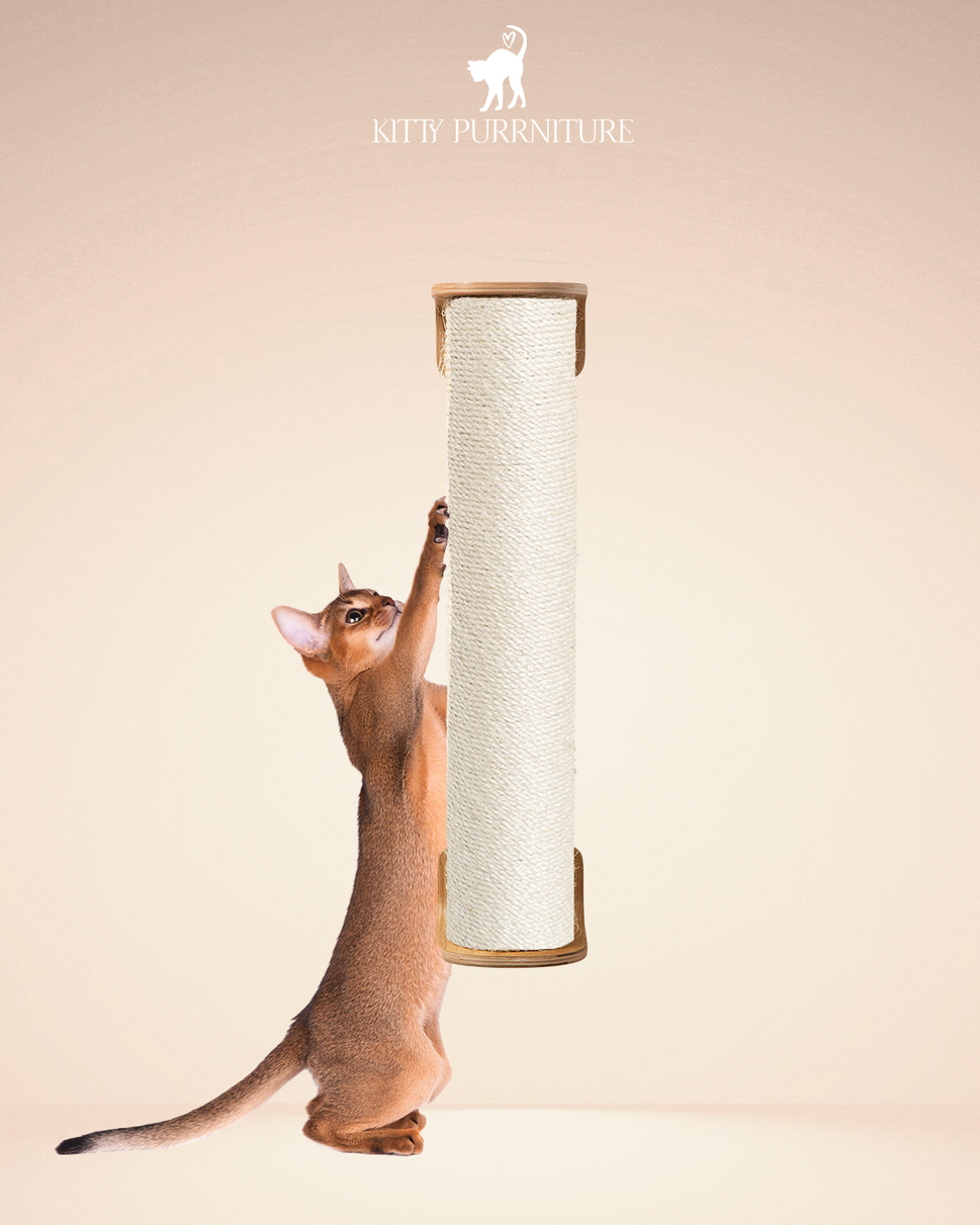 Kitty Scratch Pole