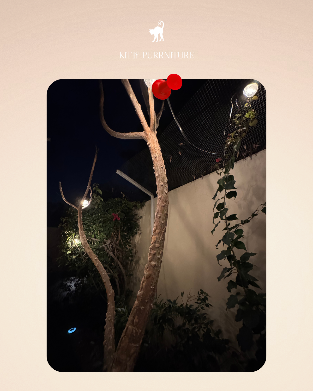 Customised Villa fences - 100AED experts visit fees