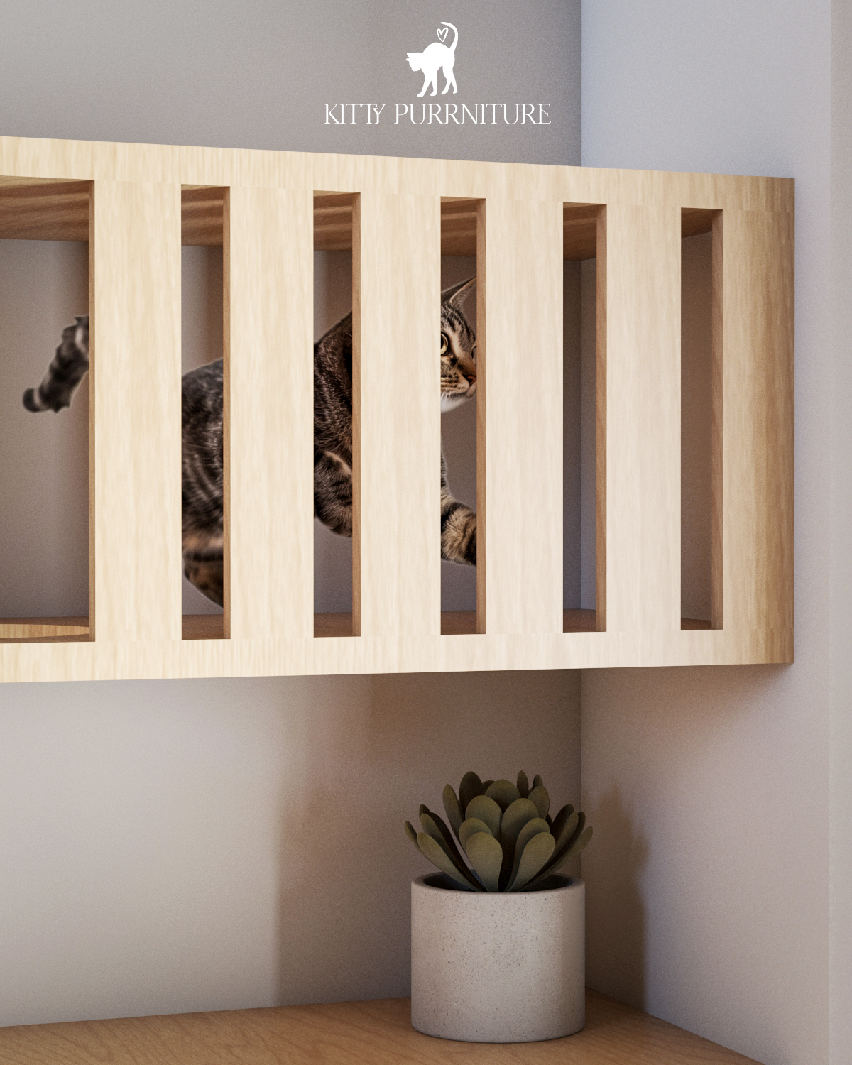 The Kitty Playground