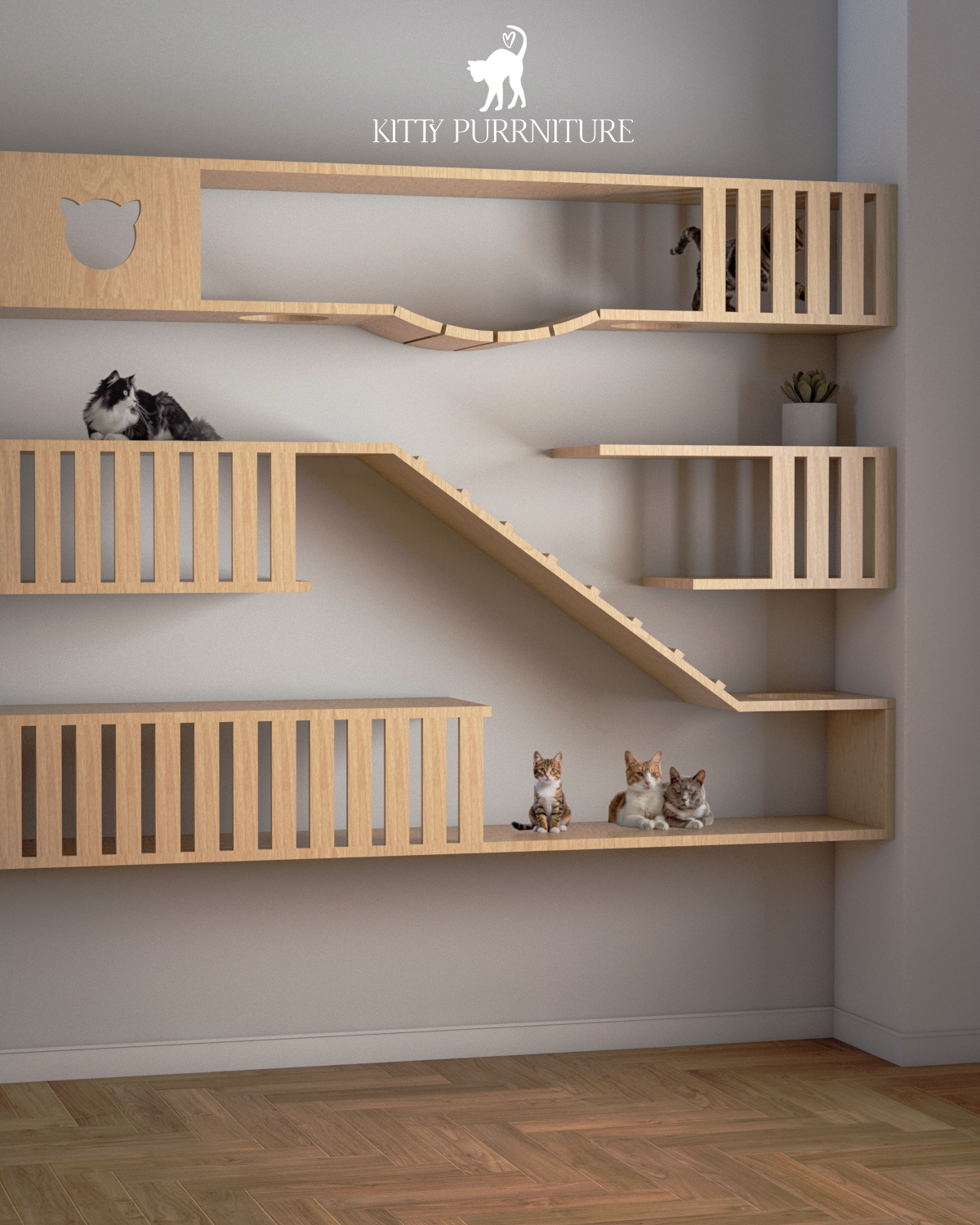 The Kitty Playground