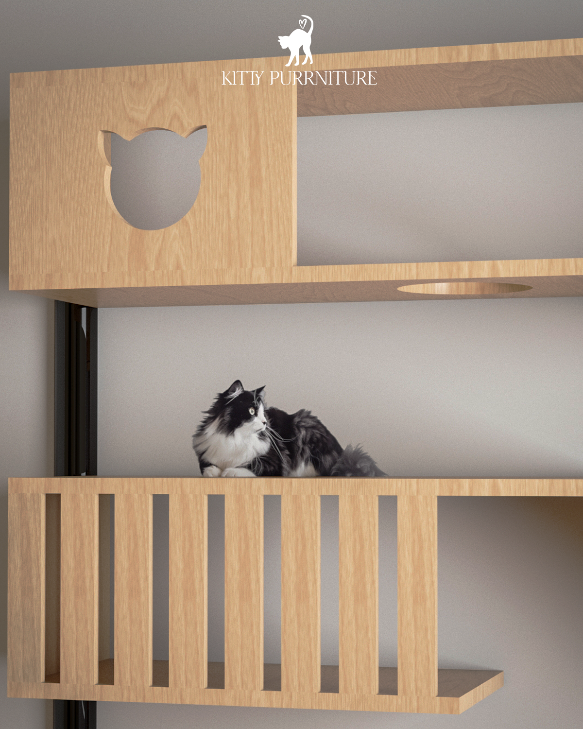 The Kitty Playground