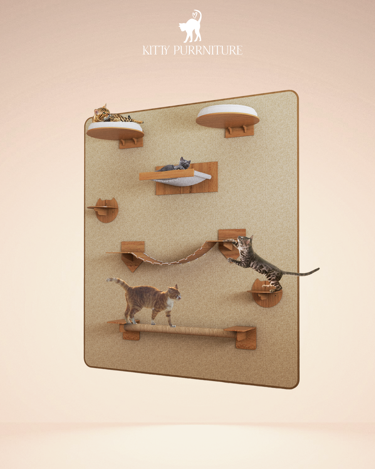 Kitty Play Wall