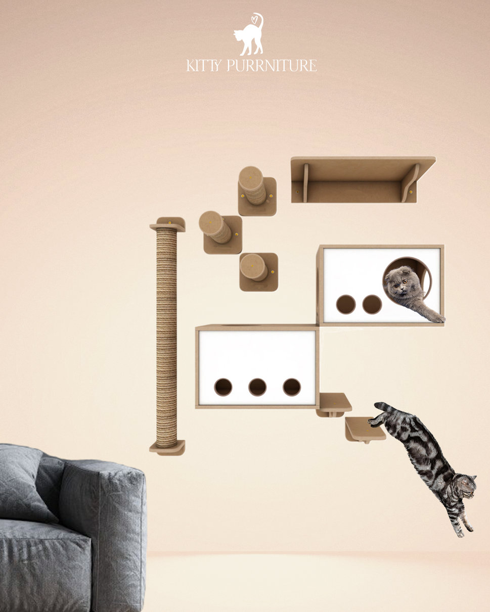 Kitty Land 1