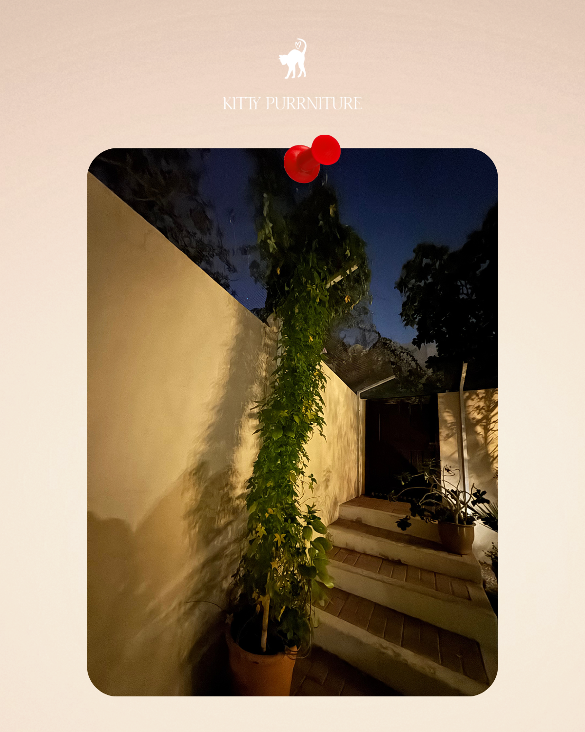 Customised Villa fences - 100AED experts visit fees