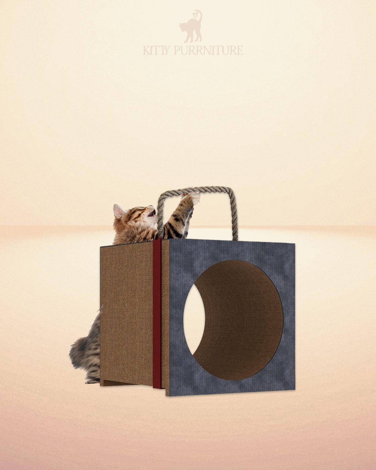 Purrfect Hide & Seek