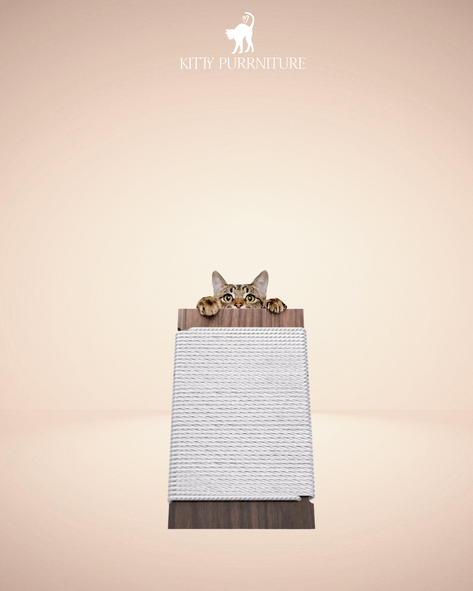 Kitty PurramidCotton