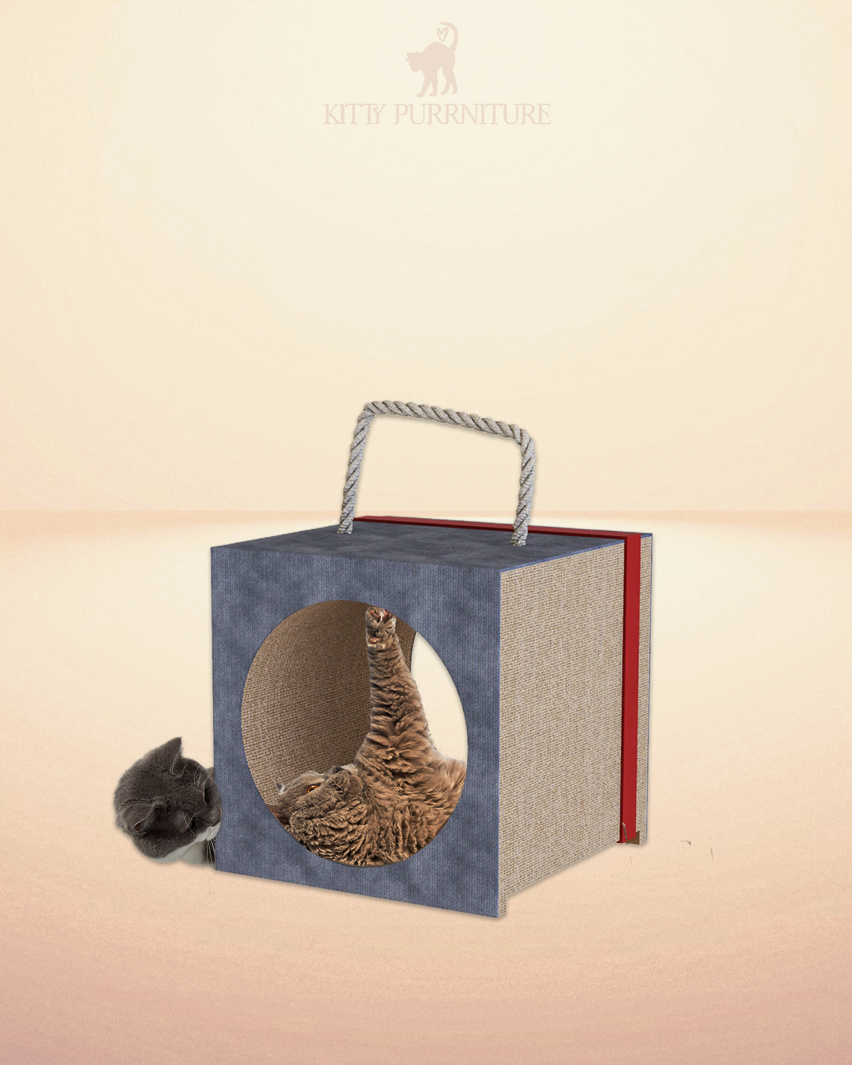 Purrfect Hide & Seek