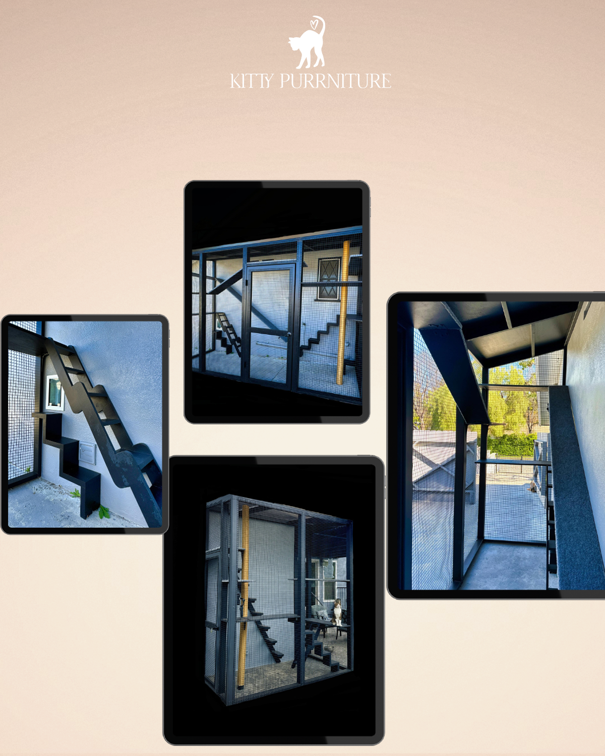 Catio: Note 100 Dirhams is experts visit