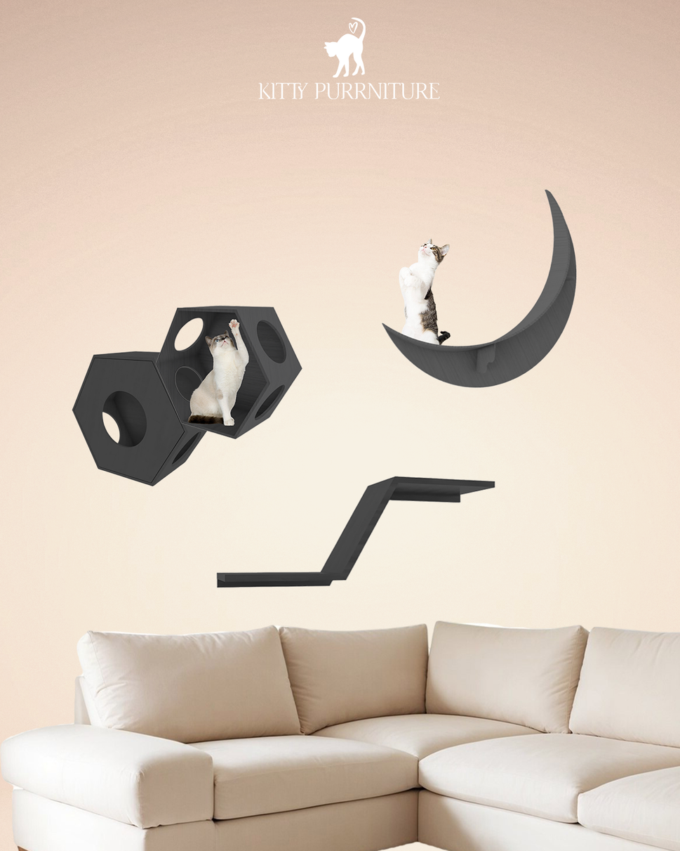 Kitty WonderlandBlack