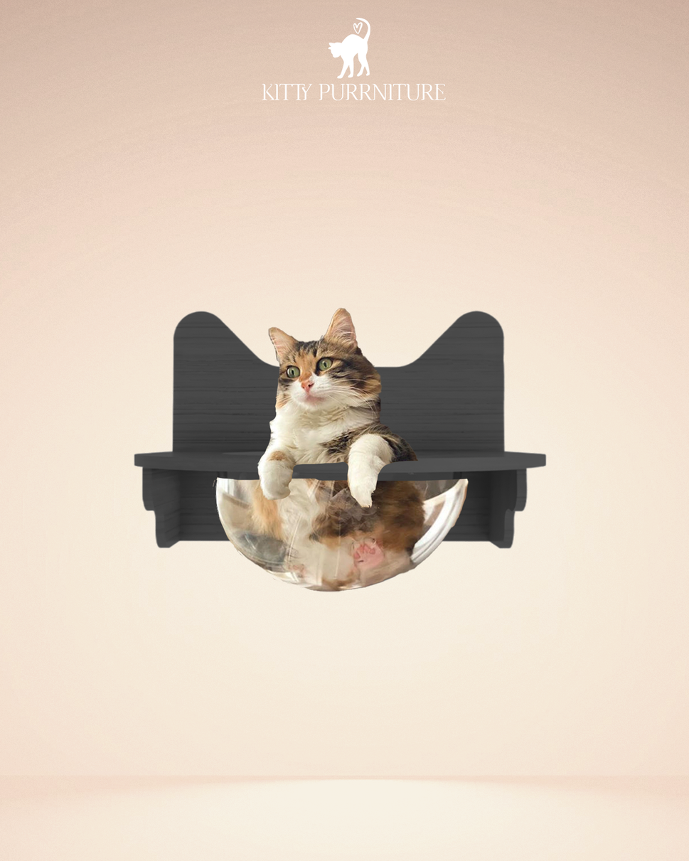 Kitty Bubble BedBlack