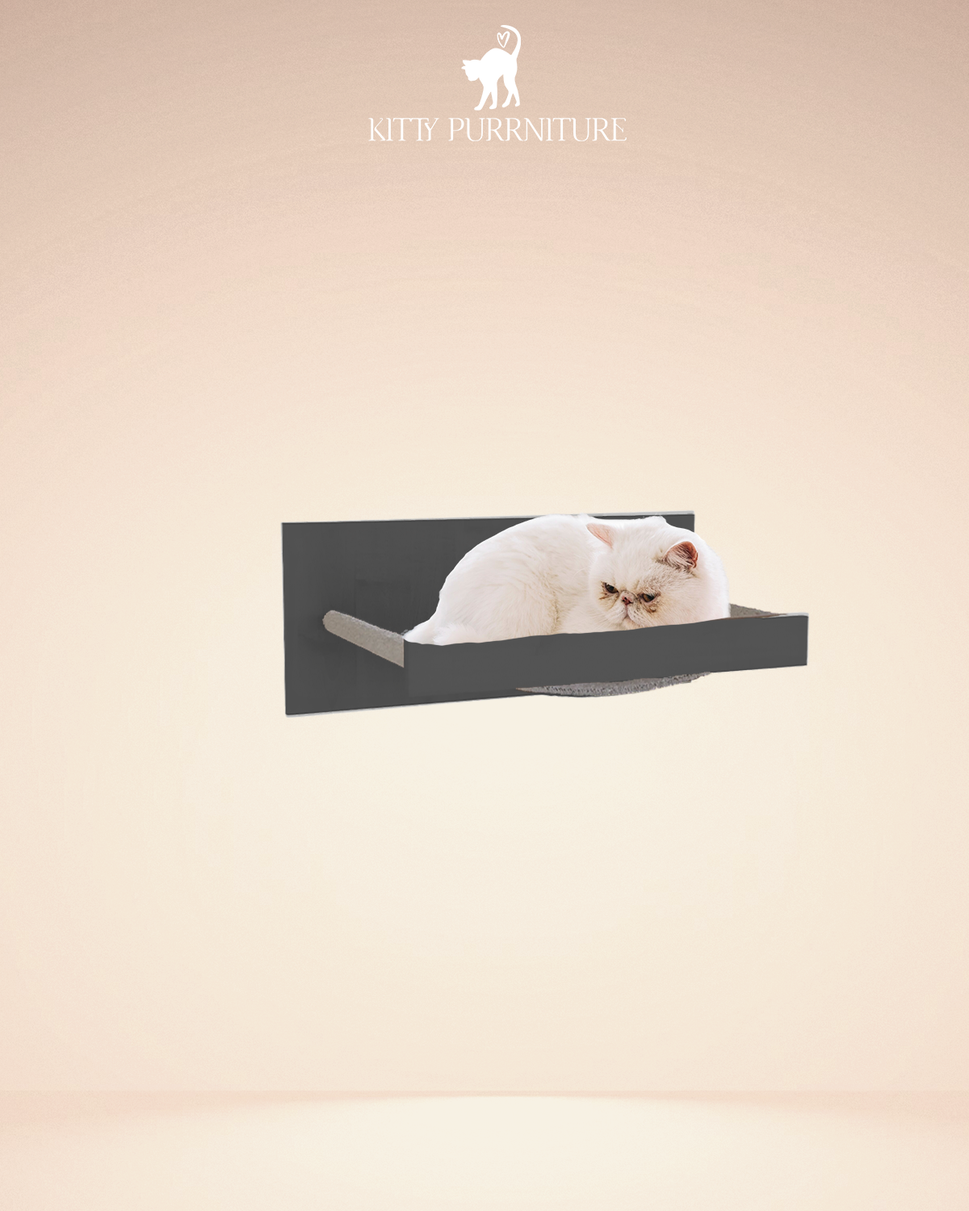 أرجوحة بورBlack