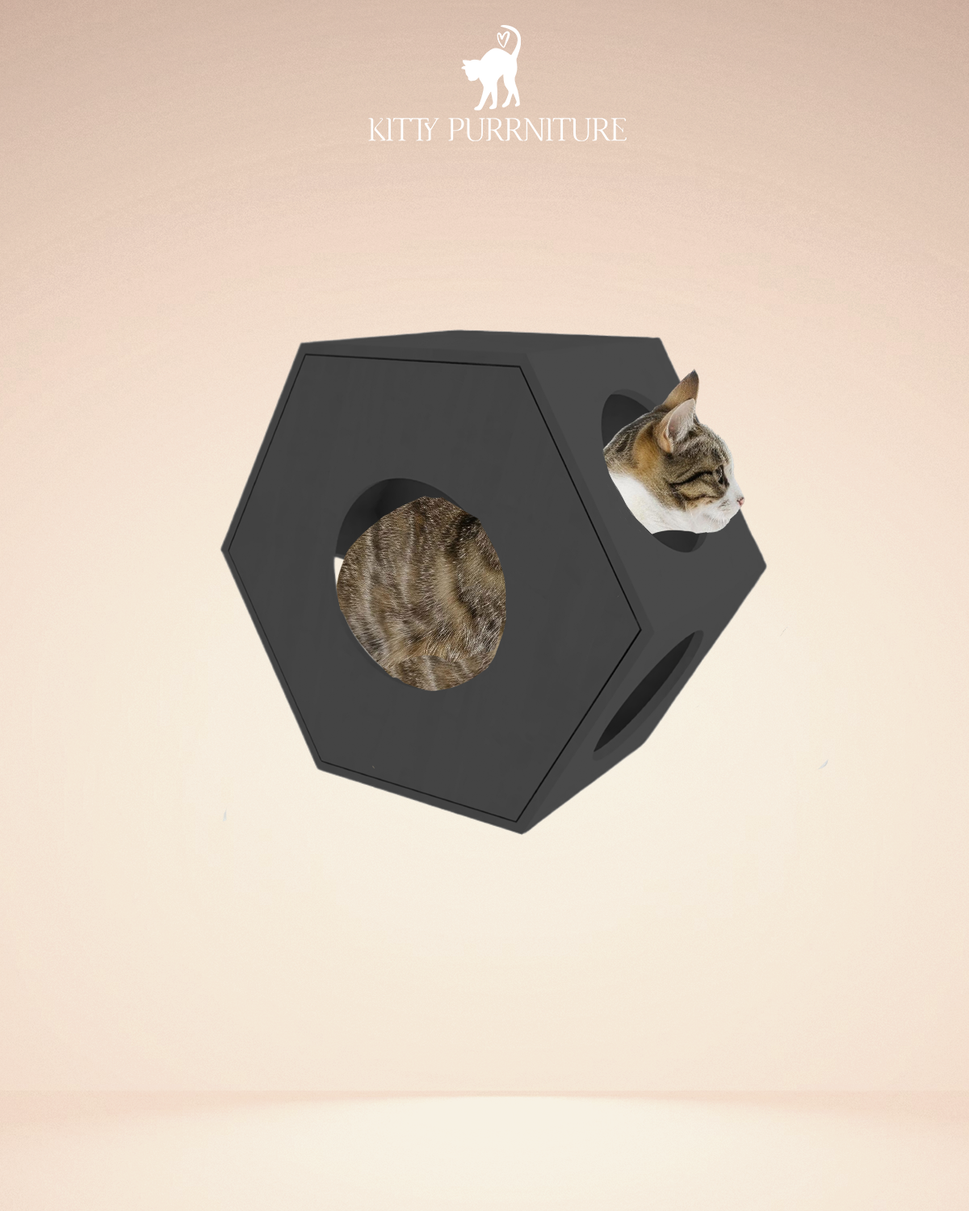 مكعب كيتيBlack