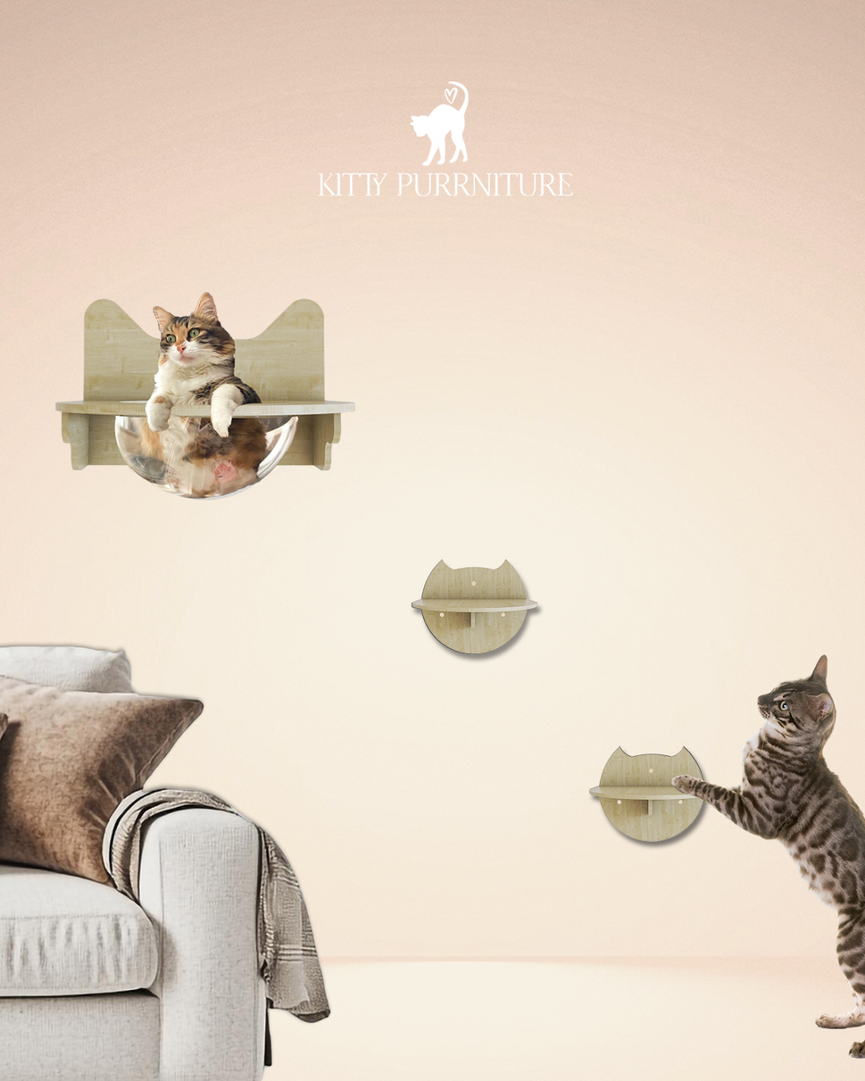 Kitty bubble + Steps