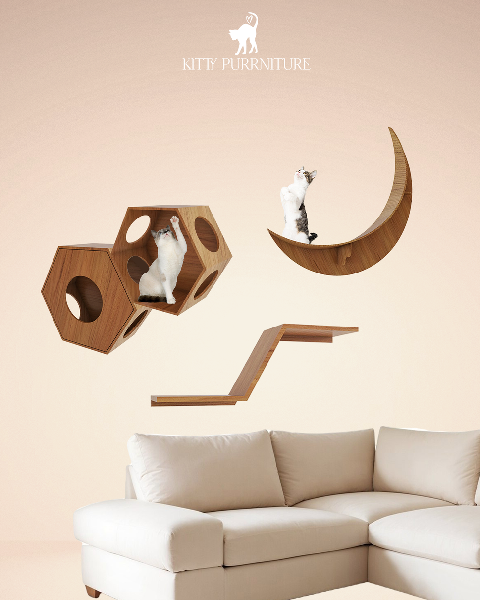 Kitty WonderlandOak wood