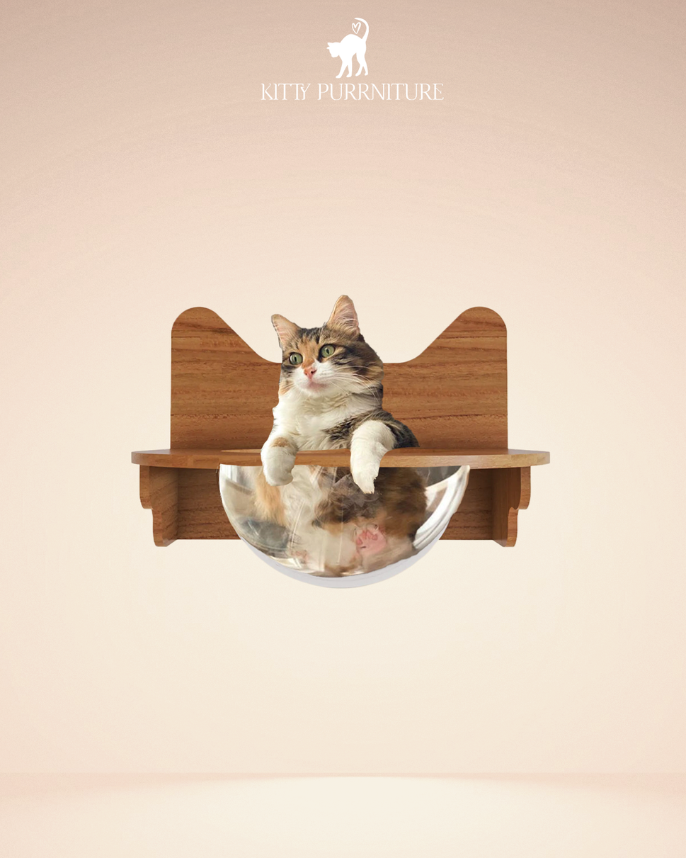 Kitty Bubble BedCherry wood