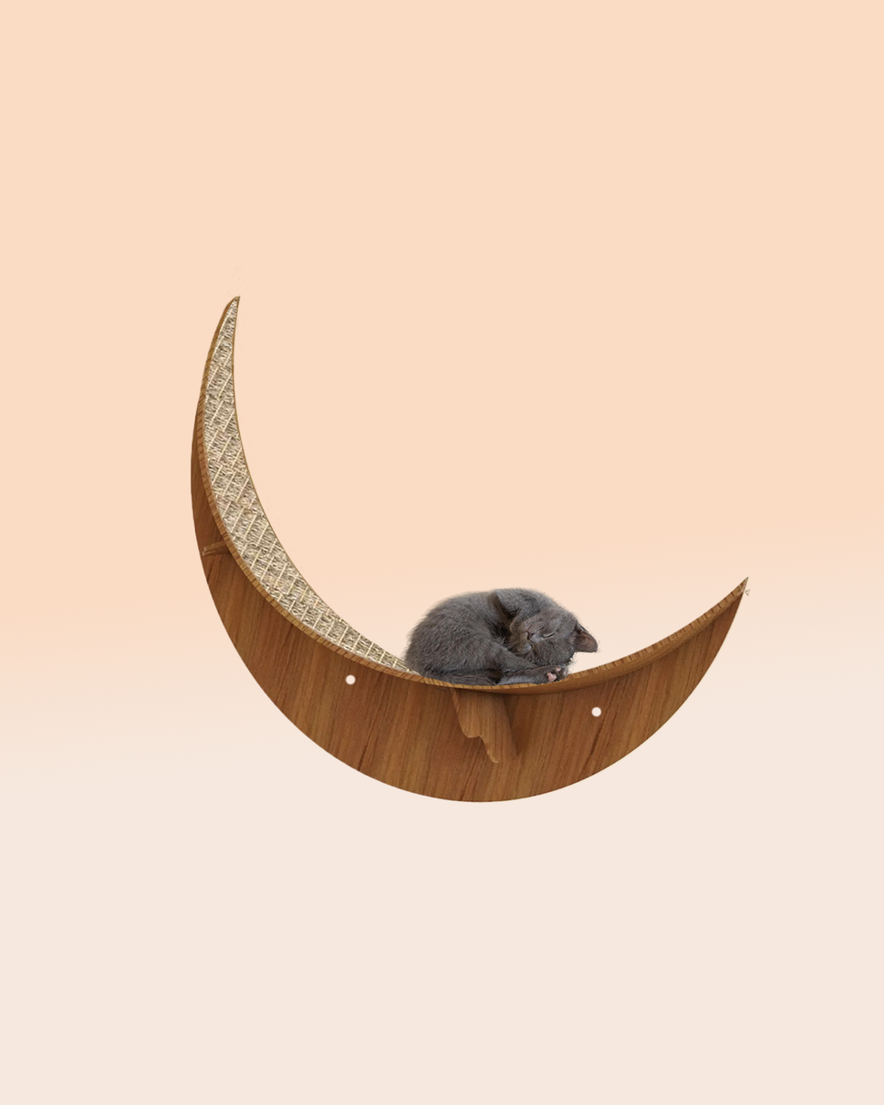 كيتي مونمع السيزال / Cherry