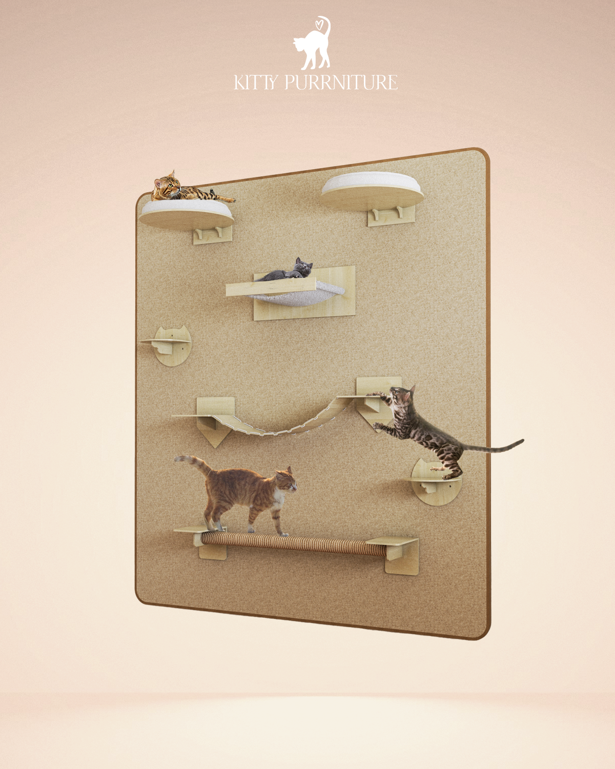 Kitty Play Wall
