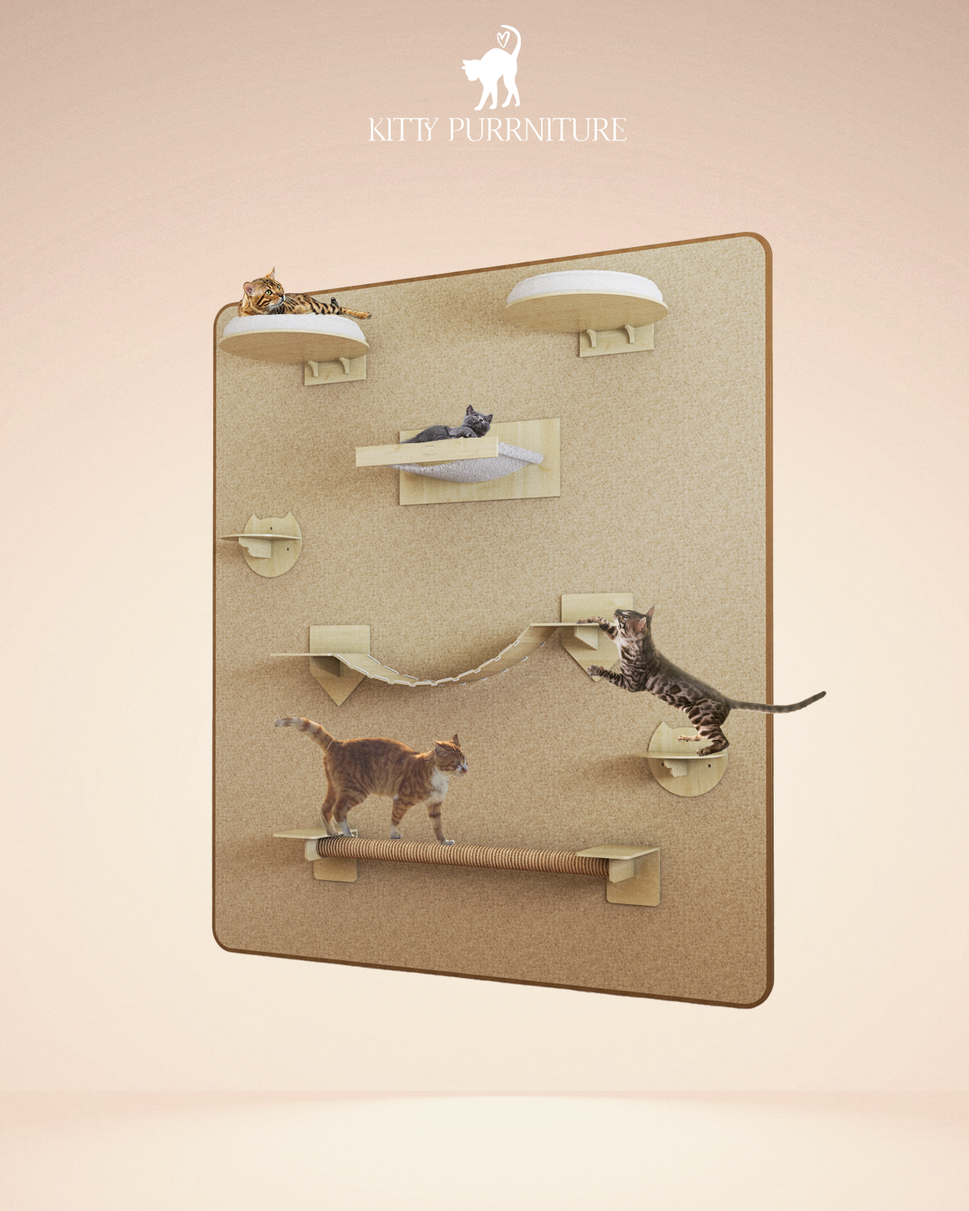 Kitty Play Wall
