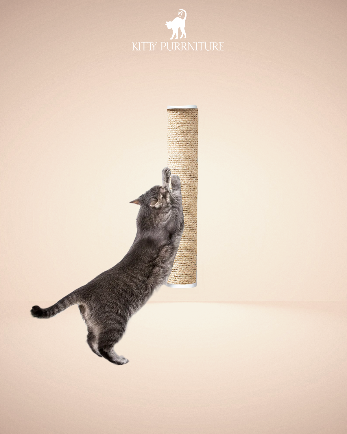 Kitty Scratch Pole