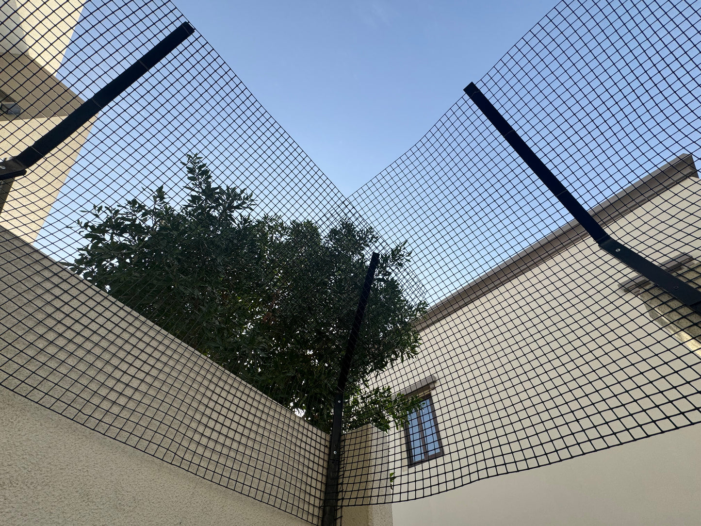 Fences: Book a visitation