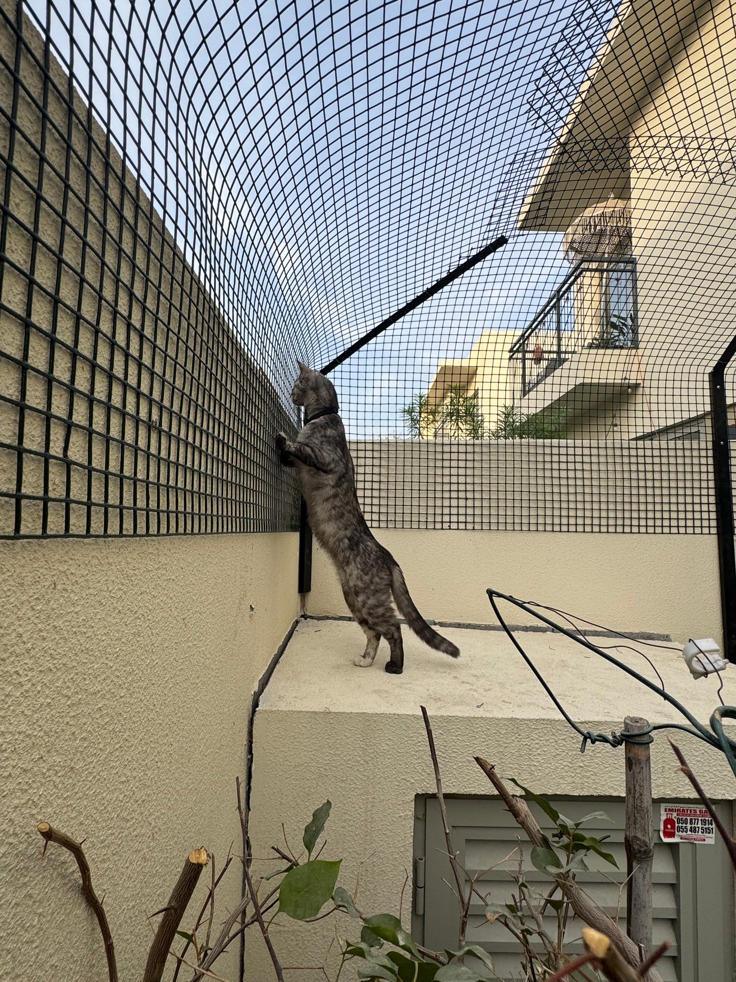 Fences: Book a visitation