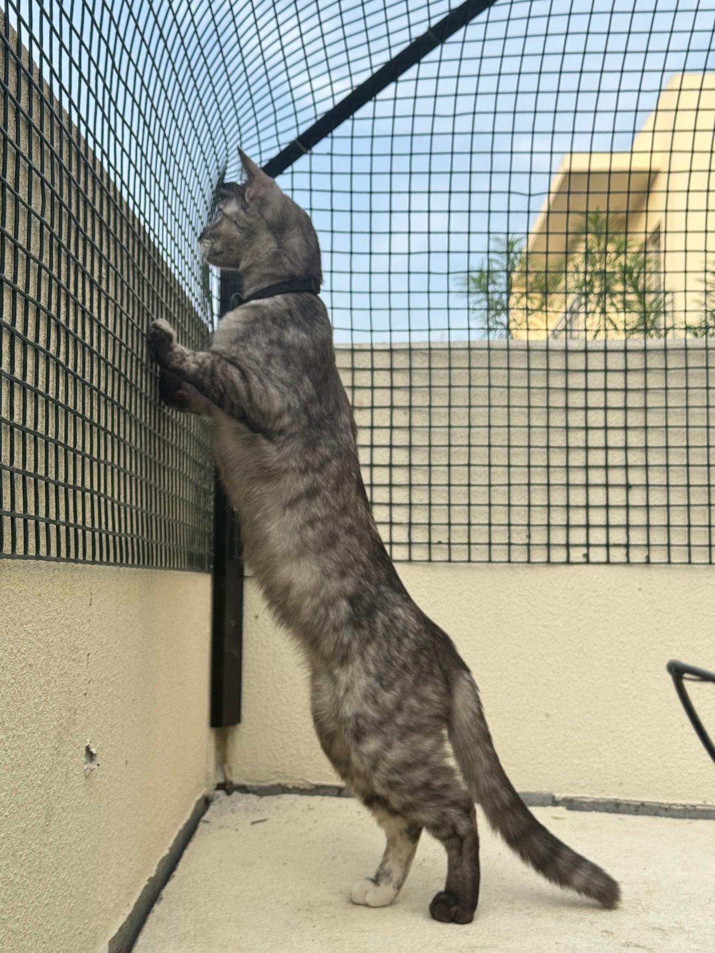 Fences: Book a visitation