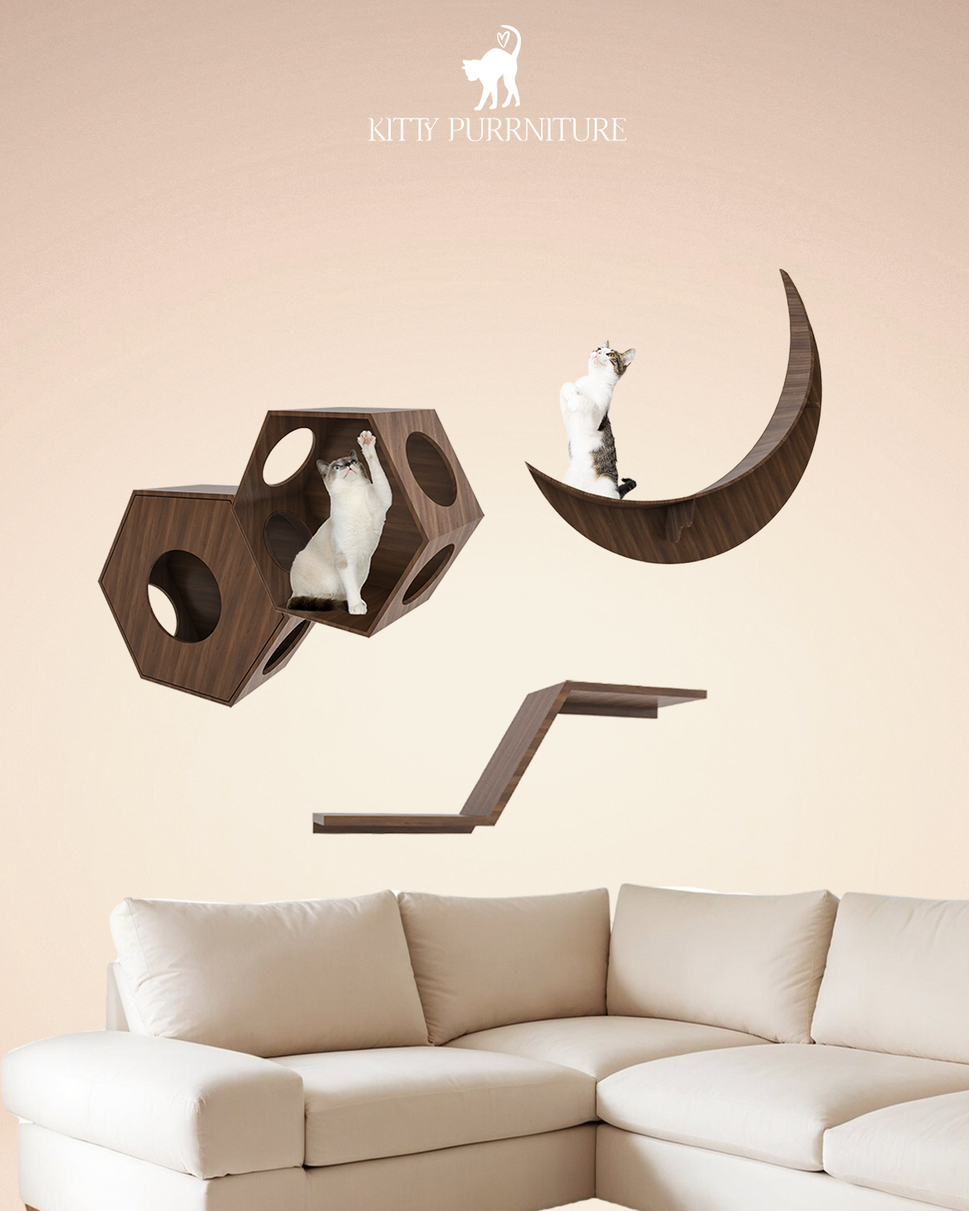 Kitty WonderlandWalnut wood