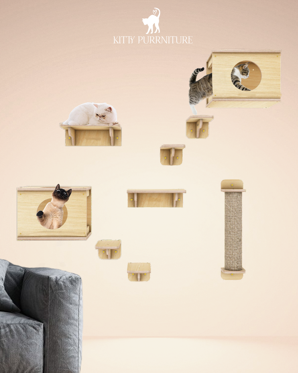 Kitty Land 2