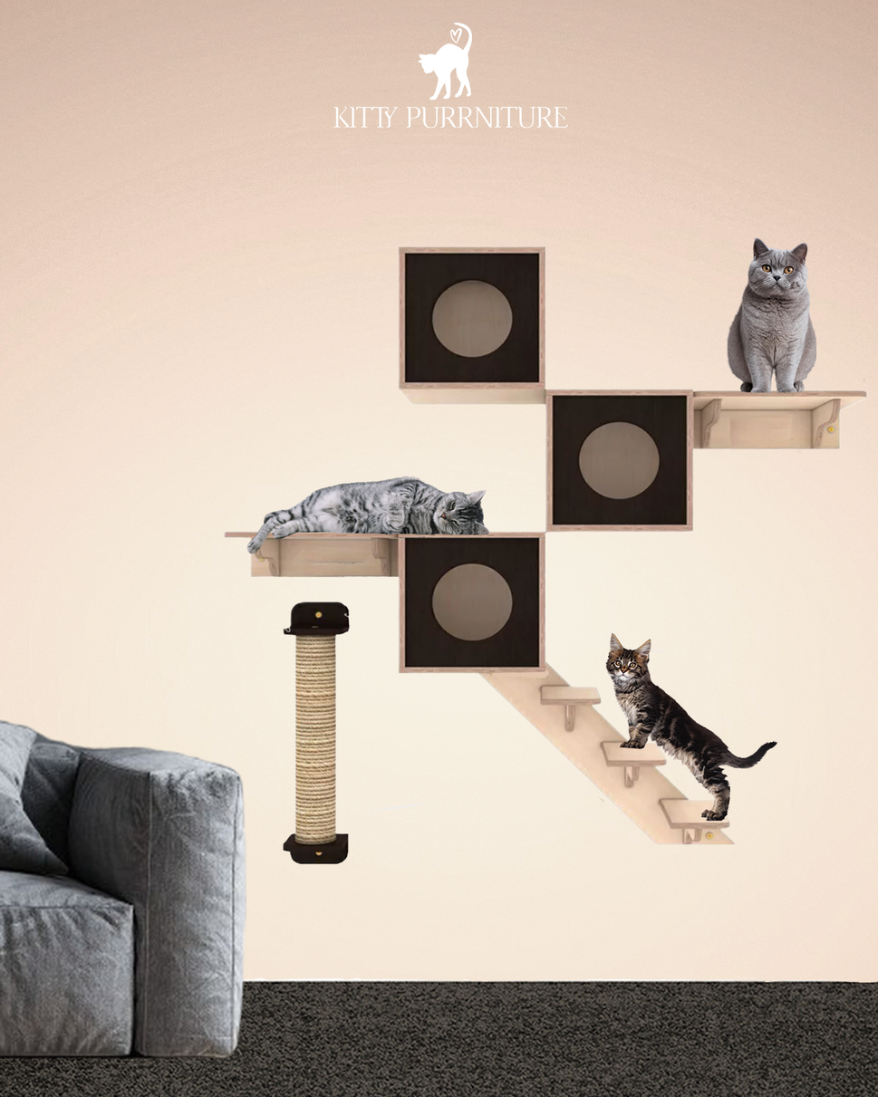 Kitty Land 4