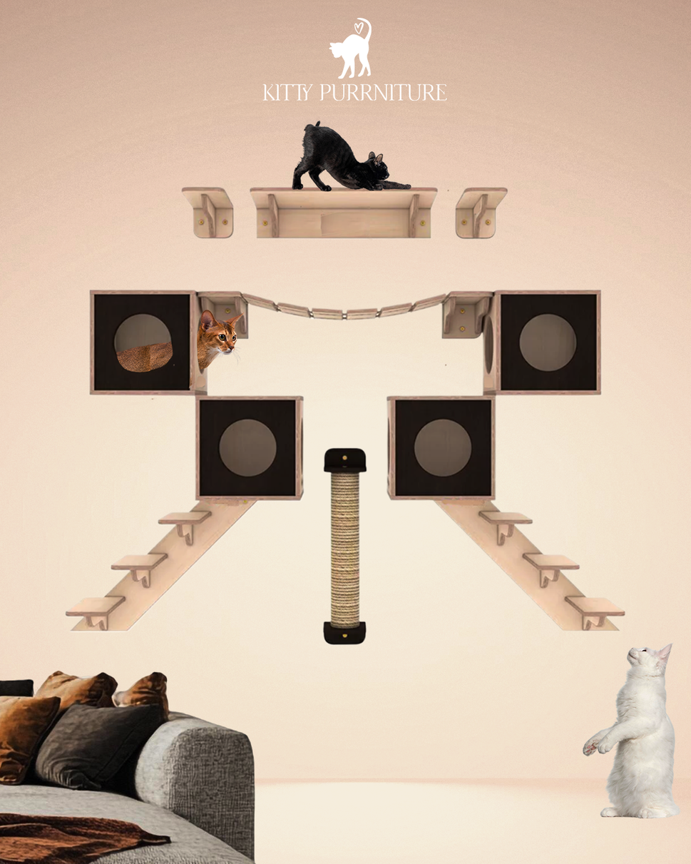 Kitty Land 3