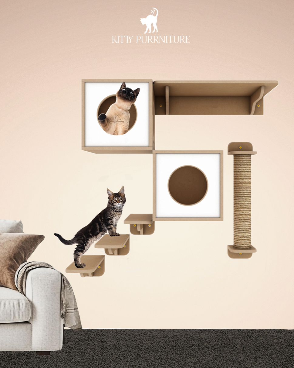 Kitty Land 6