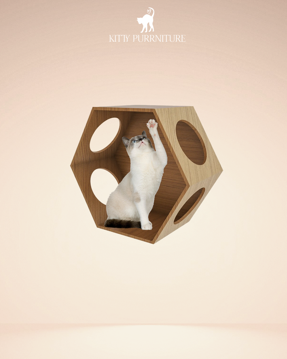 Kitty Playhouse