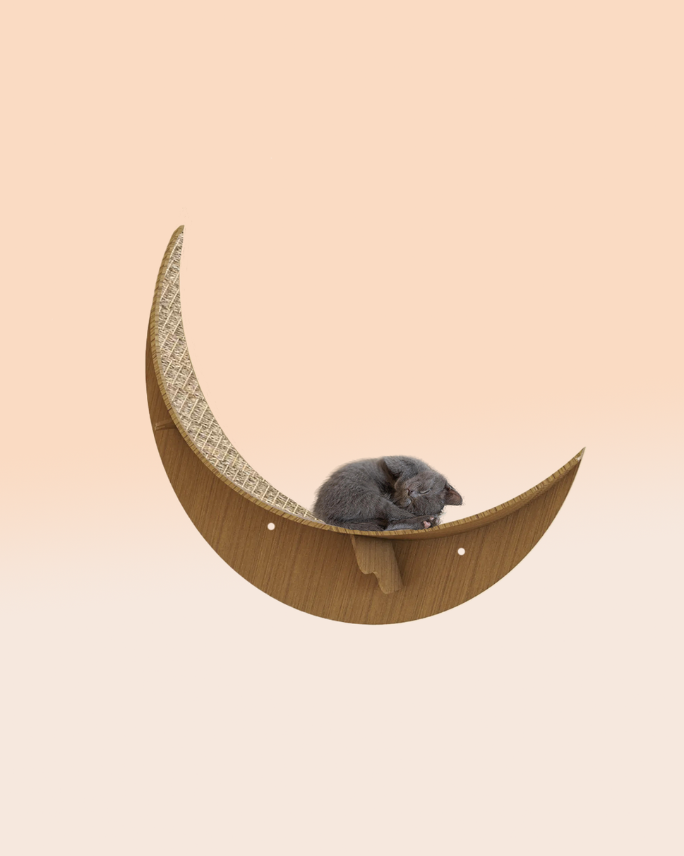 كيتي مونمع السيزال / Oak