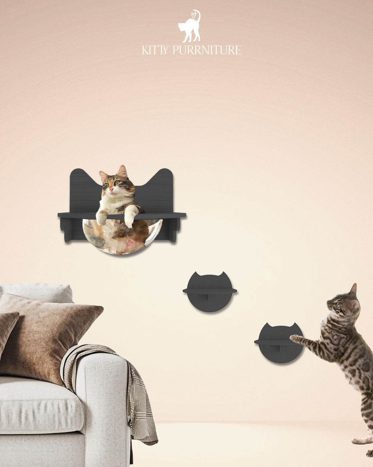 Kitty bubble + Steps