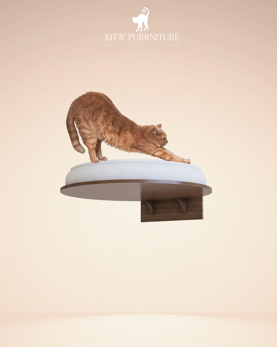 Purr BedWith Cushion / Walnut wood