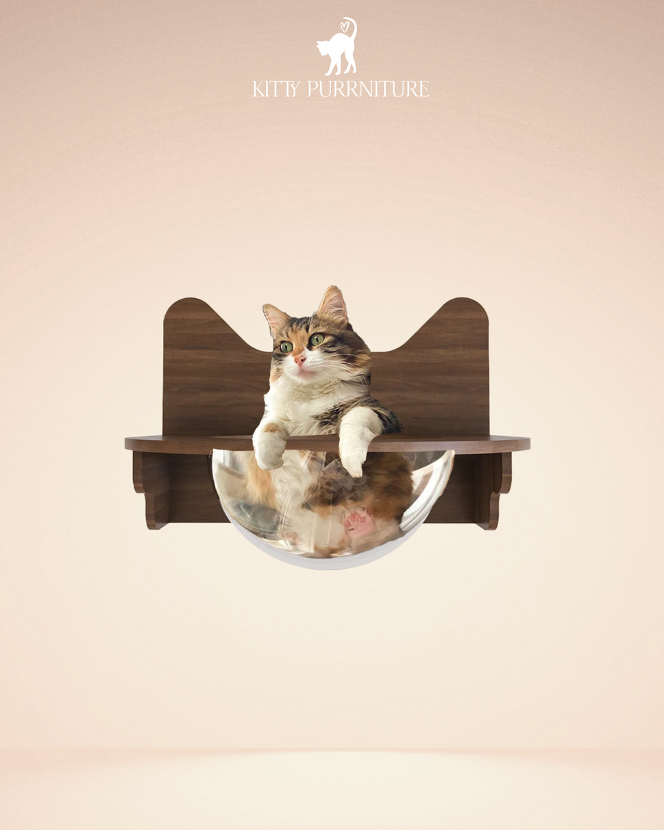 Kitty Bubble BedWalnut wood