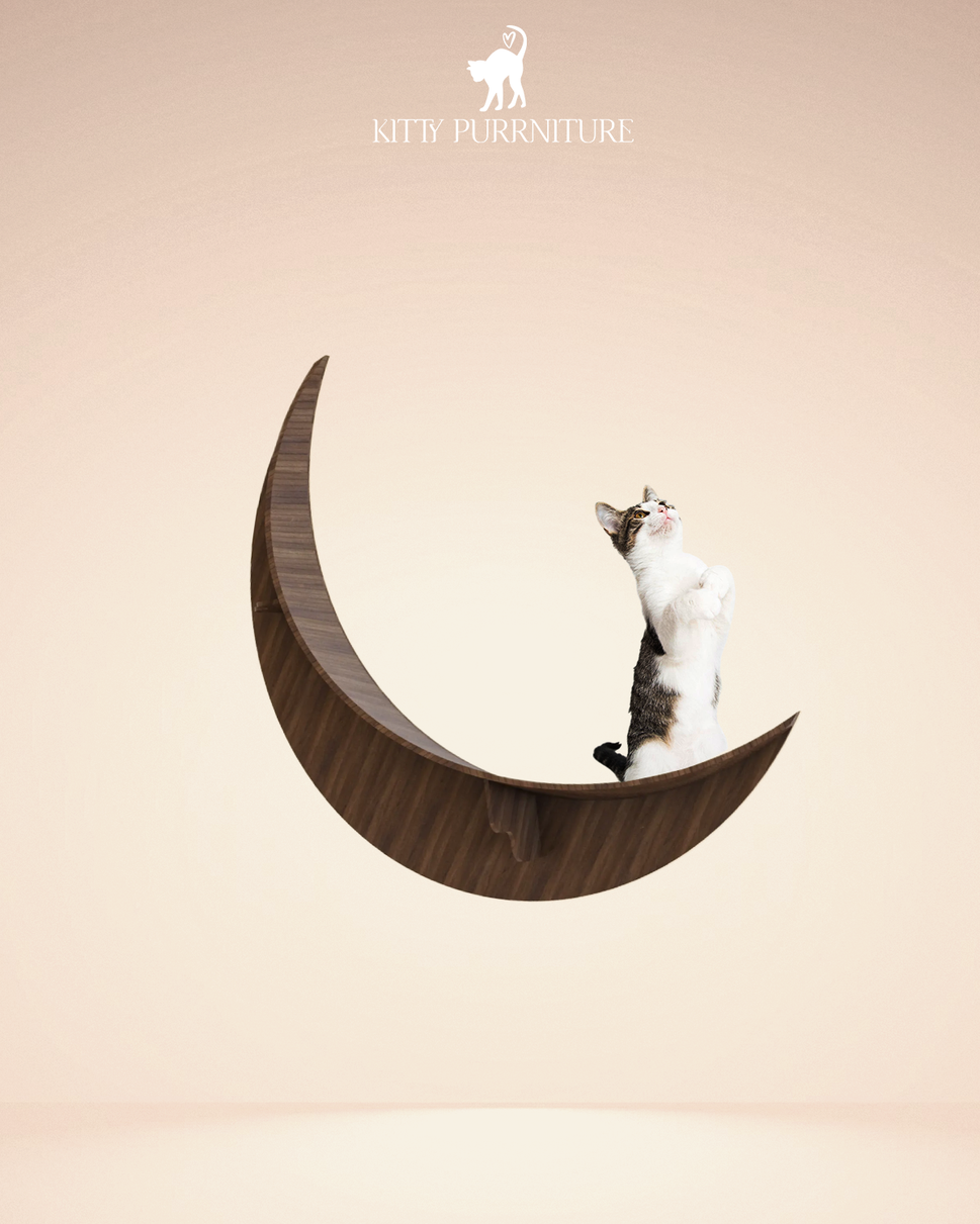 كيتي مونبدون السيزال / Walnut