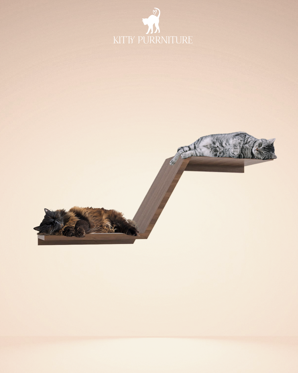 Kitty ZigzagWalnut wood