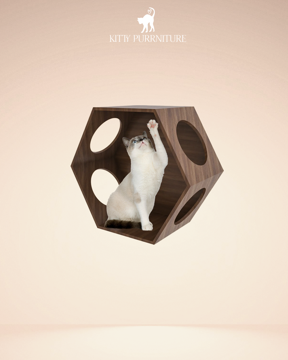 Kitty Playhouse