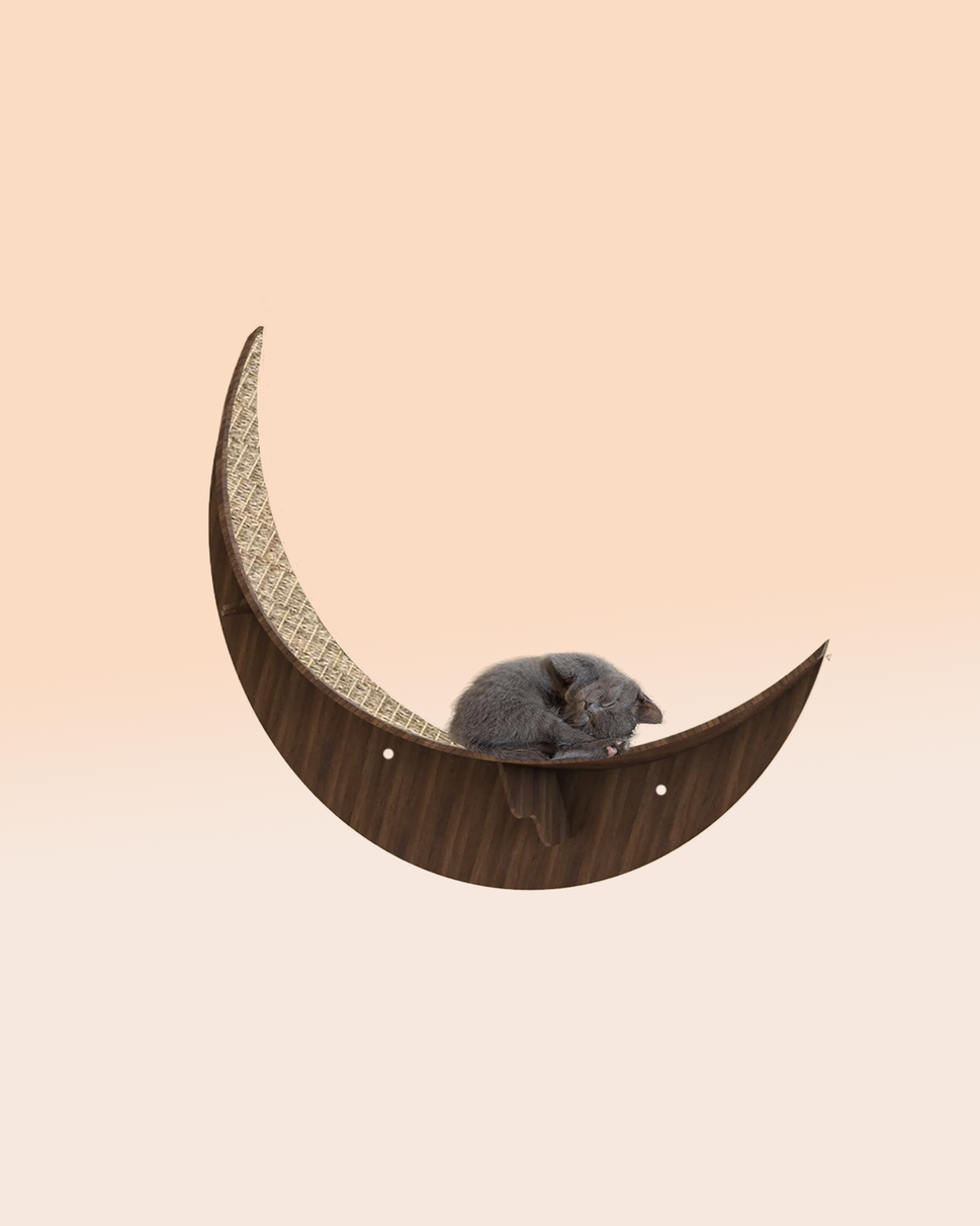 كيتي مونمع السيزال / Walnut