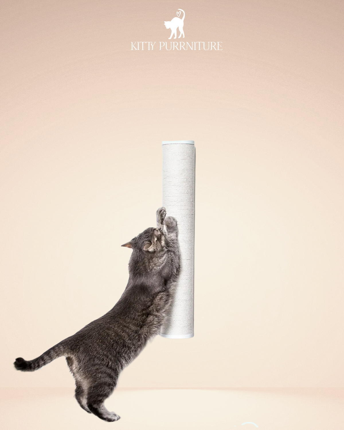 Kitty Scratch Pole