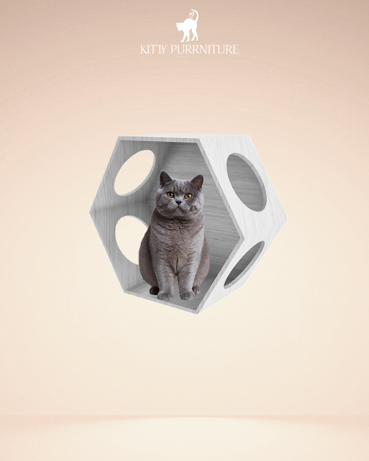 Kitty Playhouse