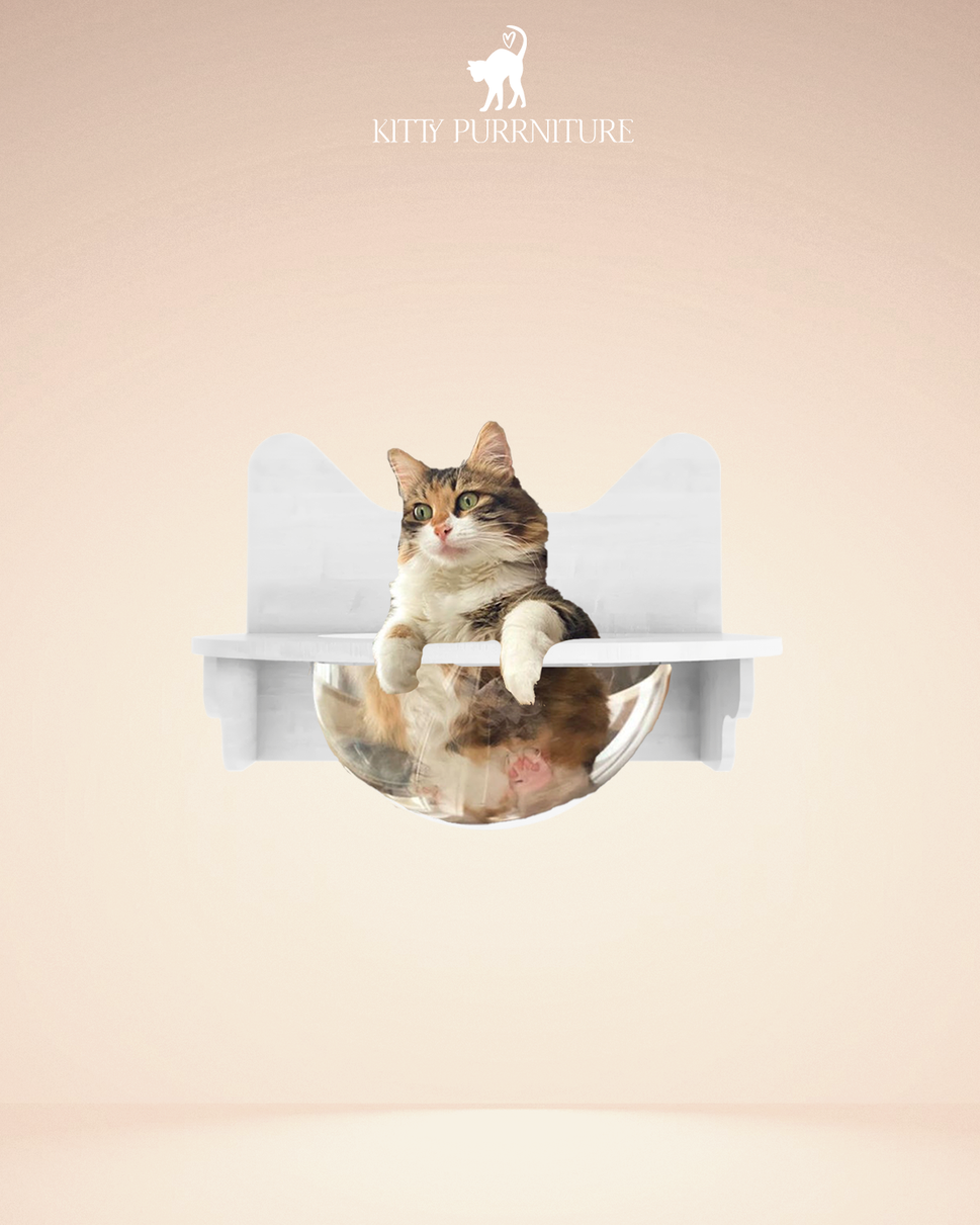 Kitty Bubble BedWhite