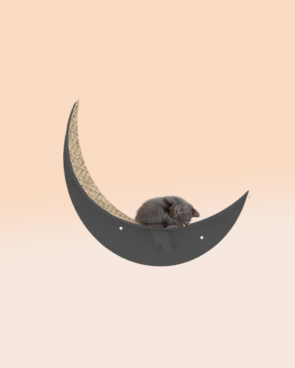 كيتي مونمع السيزال / Black