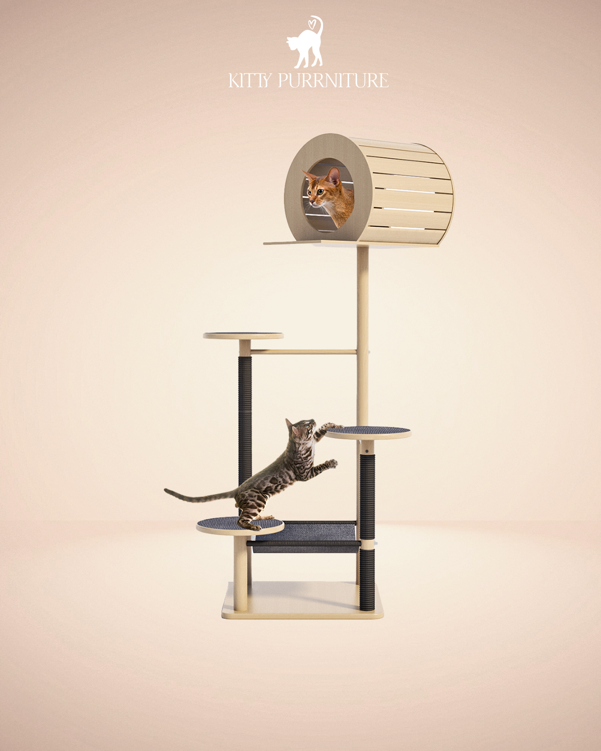 Kitty Barrel
