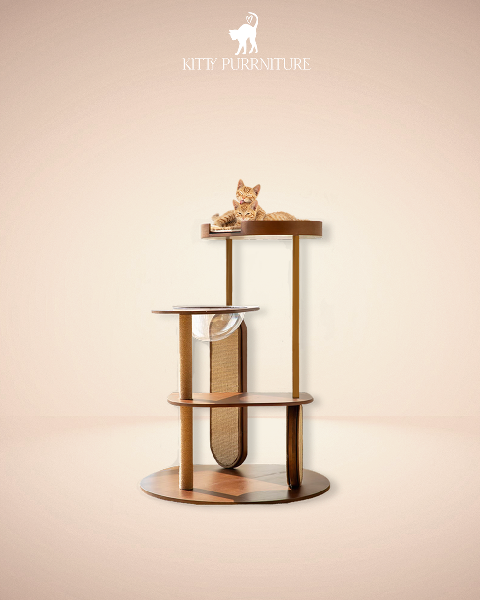 Kitty Purradise