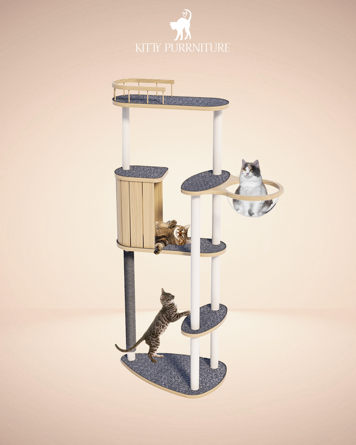 Kitty Cabin